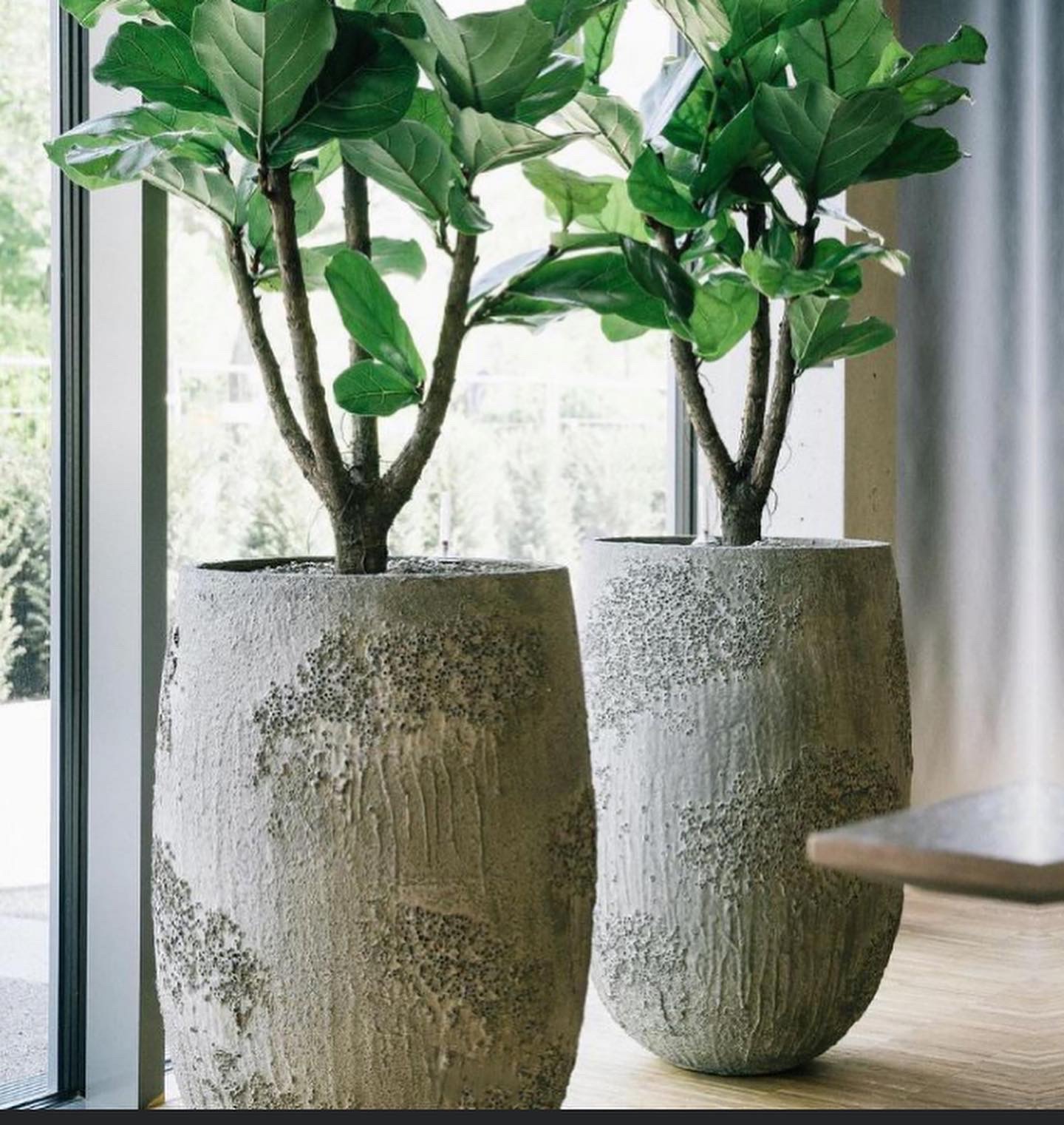 Tarb Imperial White Plantekasse - Bilde 2