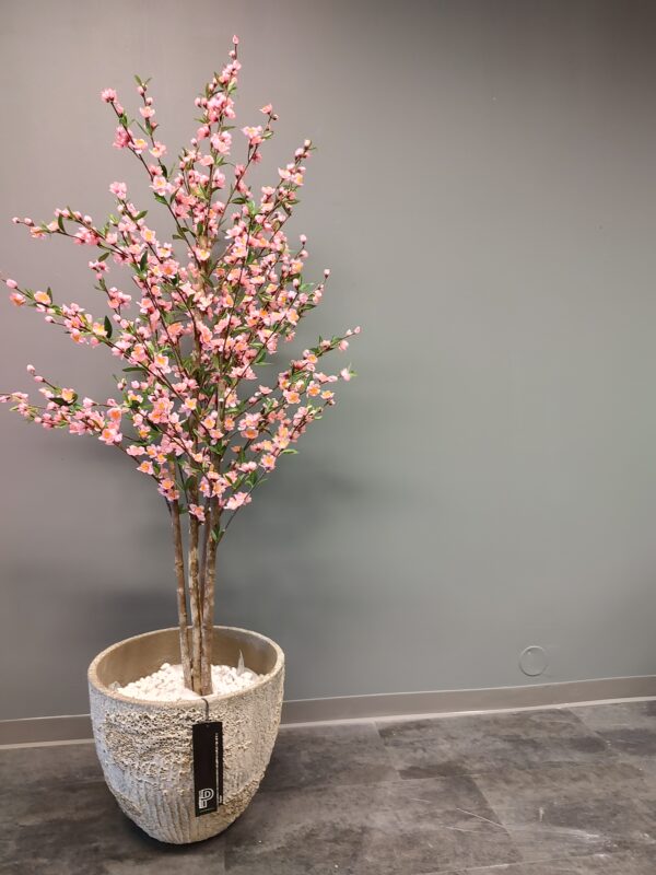 Kirsebærtre 150 cm med Jesslyn potte
