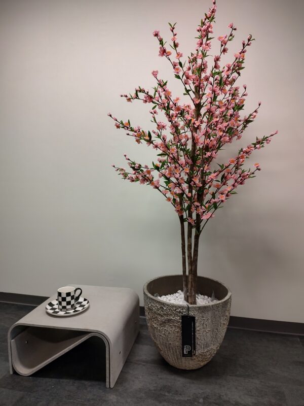 Kirsebærtre 150 cm med Jesslyn potte