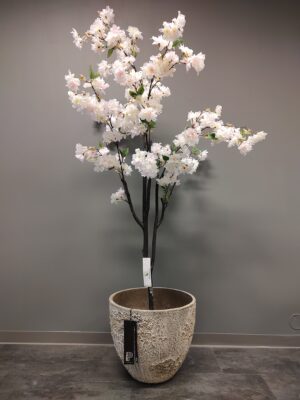 Kirsebærtre hvit 180 cm med jesslyn XS