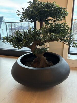 Kunstig Bonsai