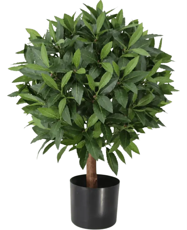 Kunstig laurbær på stamme 60 cm.