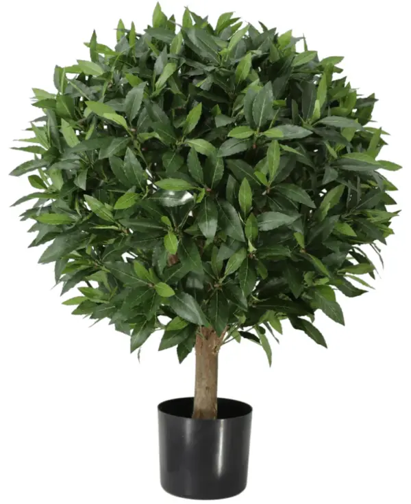 Kunstig laurbær på stamme 80 cm.