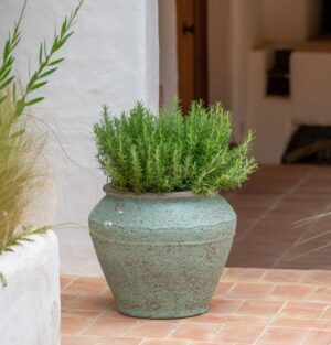 Rustic Green