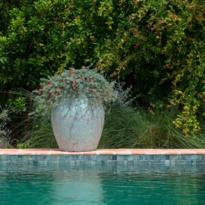 Rustic Green