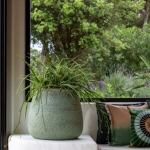 Rustic Green