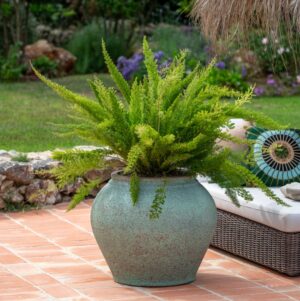 Rustic Green