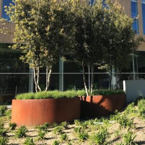 Plantekasse Rusty Cortenstål uten bunn Ø:120 x H:40