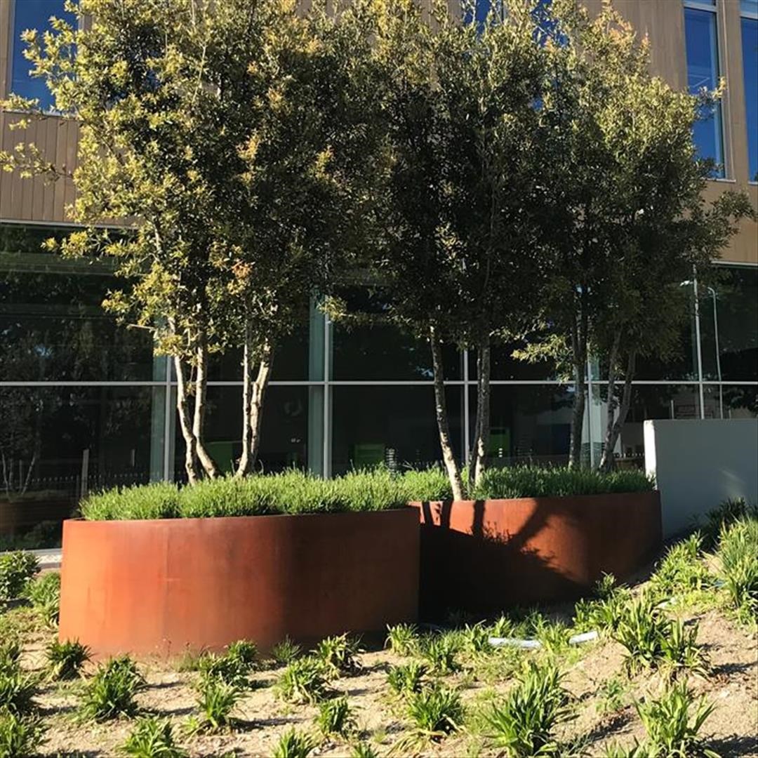Plantekasser Rusty Cortenstål 80x40 - Bilde 3