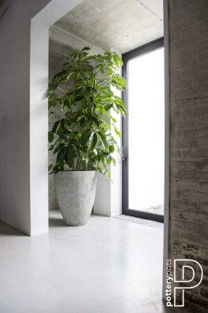 Bernd Imperial White Plantekasse