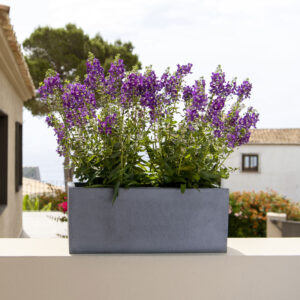 Plantekasse Balcony