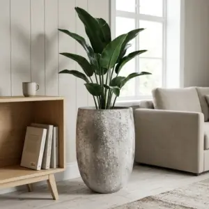 Belon Imperial White Plantekasse