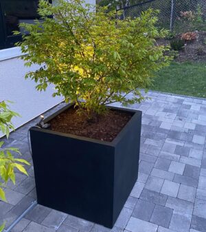 Block Plantekasse