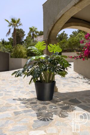 Kombinasjonspakke Bucket M+ Monstera