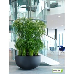 Plantekasse City Bowl