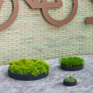 Potte Max low