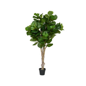 Kunstige planter Ficus Lyrata
