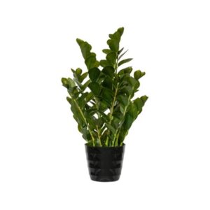 Kunstige planter Zamioculcas