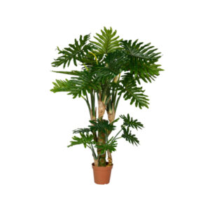 Kunstige planter Philodendron