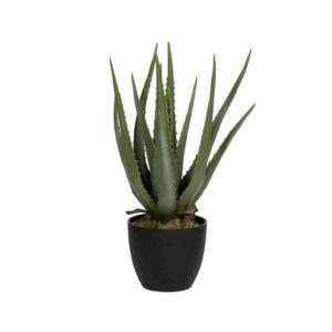 Kunstige planter Aloe