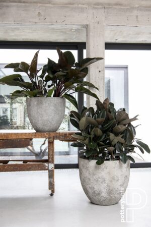 Jesslyn Imperial White Plantekasse
