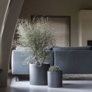 Plantekasse Max