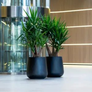 PAX Plantekasse