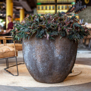 Jesslyn Imperial Brown Plantekasse