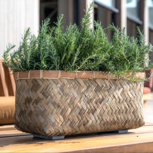 Potte Nouri