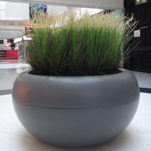 Aladin store plantekasser