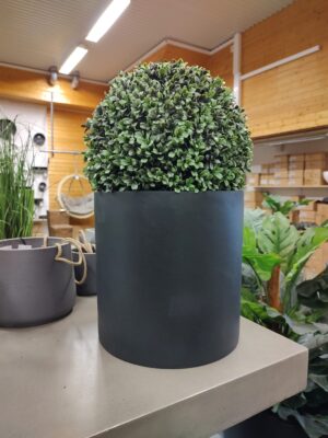 Kombinasjonspakke Max S + Buksbom