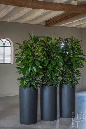 Plantekasse Klax