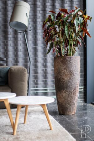 Dax Imperial Brown Plantekasse