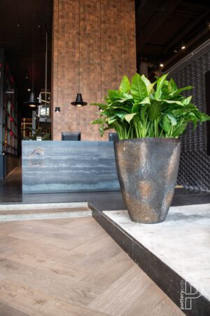 Oscar Imperial Brown Plantekasse