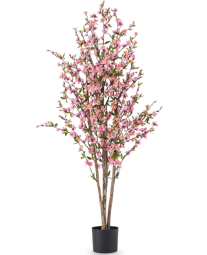kirsebær 150 cm
