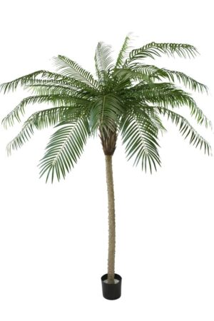 Kunstige palmetrær Phoenix De Luxe  210 cm