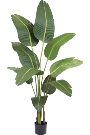 Kunstige planter Strelitzia