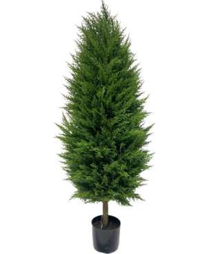 nåleter deluxe 120cm