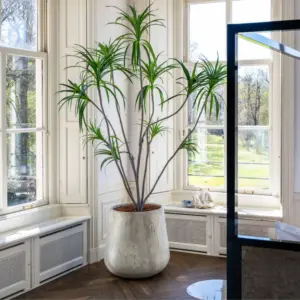 Pax Imperial White Plantekasse