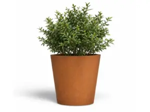 Kremmerhus plantekasser